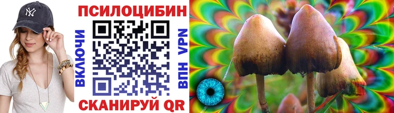 Псилоцибиновые грибы прущие грибы  Берёзовка 
